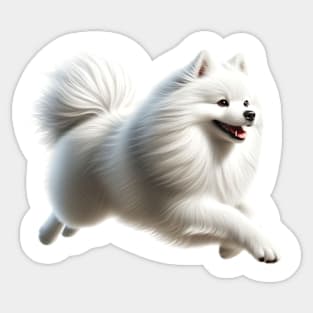 American Eskimo Dog Sticker